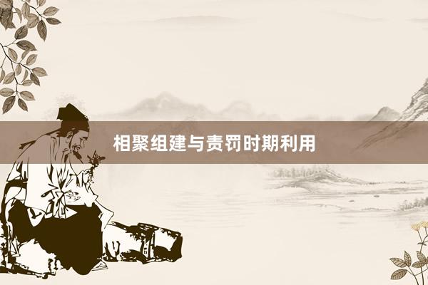相聚组建与责罚时期利用