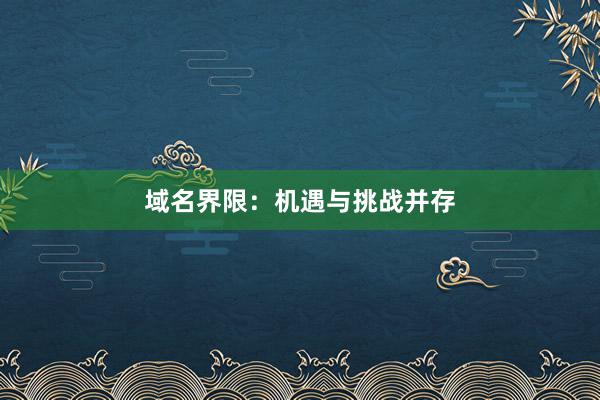 域名界限：机遇与挑战并存