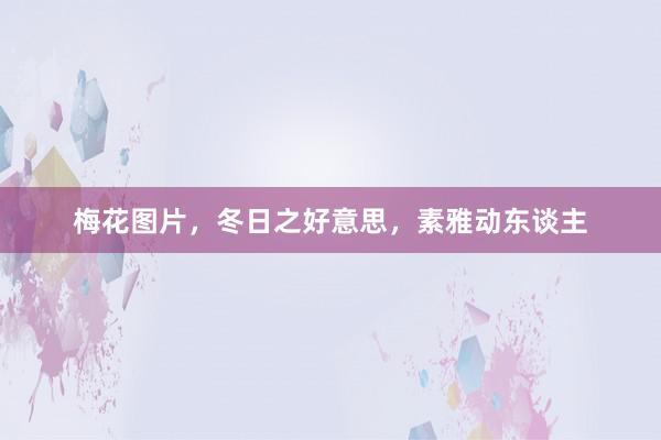 梅花图片，冬日之好意思，素雅动东谈主