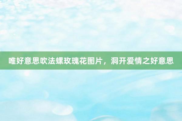 唯好意思吹法螺玫瑰花图片，洞开爱情之好意思