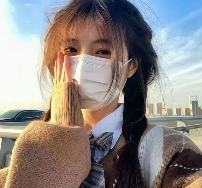 Double Face 伪装警察篇